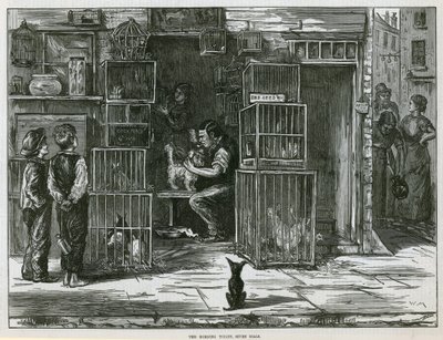 A reggeli vécé, hét számlap alkotó: English School