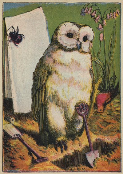 A bagoly, a bogár és a kakasrobin (színes litográfia) alkotó: English School