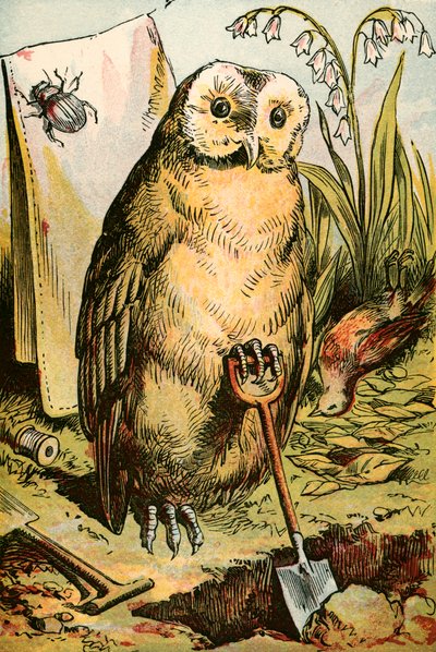 A bagoly, a bogár és a kakas robin alkotó: English School