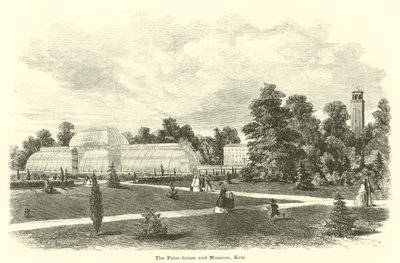 A pálmaház és múzeum, Kew alkotó: English School