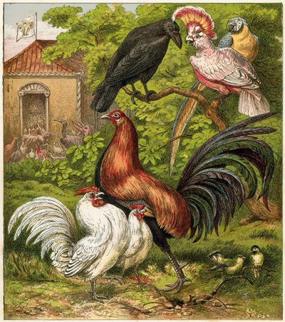 A páva otthon alkotó: English School