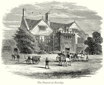 A Rowsley-i páva (metszet) alkotó: English School