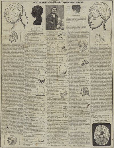 A frenológiai és mesmerikus diagram alkotó: English School