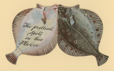 A legszebb helyek ezen a helyen alkotó: English School