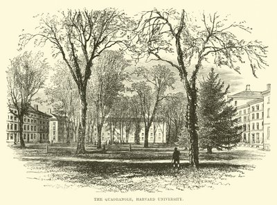 A négyszög, Harvard Egyetem alkotó: English School