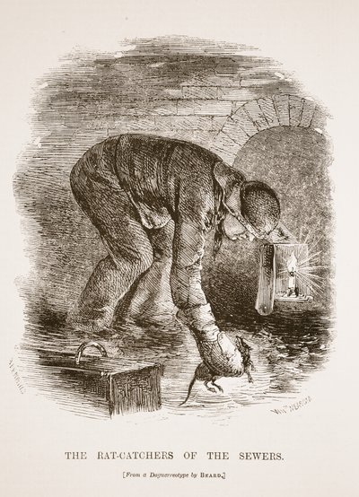 A szennyvízcsatornák patkányfogói, Richard Beard dagerrotípiájából, illusztráció a London Labor és a London Poor, Henry Mayhew, pub. 1862 alkotó: English School