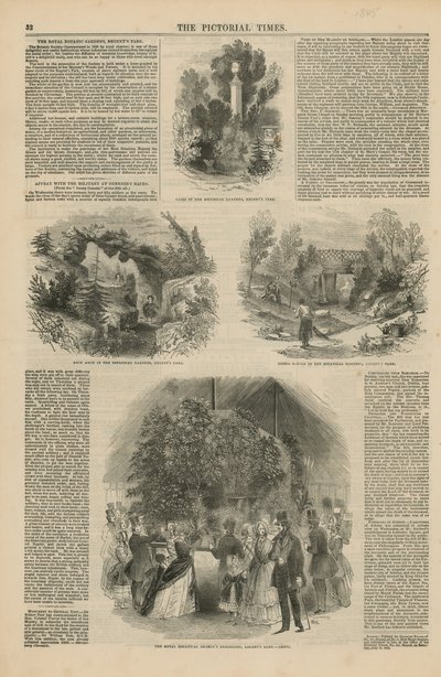 A Királyi Botanikus Kert alkotó: English School
