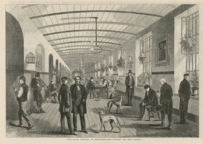 A Betlehemi Királyi Kórház – a férfiak galériája alkotó: English School