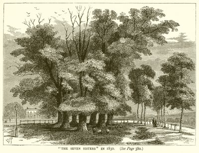 A hét nővér 1830-ban alkotó: English School