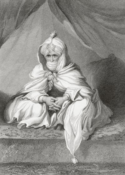 Bornu sejkje, 1826 alkotó: English School