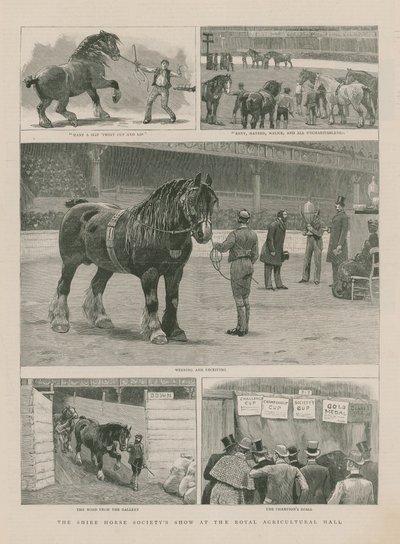 A Shire Horse Society bemutatója a Royal Agricultural Hallban alkotó: English School
