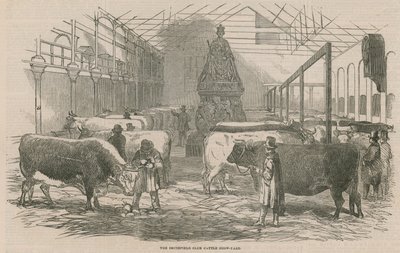 A Smithfield Club szarvasmarha bemutató udvara alkotó: English School