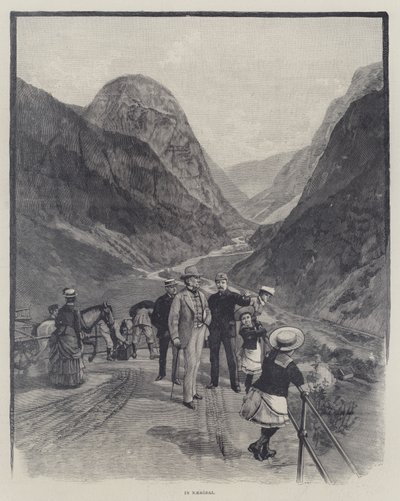 A „napsugár” Norvégiában, Lady Brassey (metszet) alkotó: English School