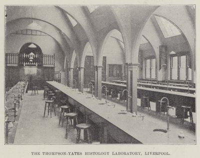 Thompson-Yates Szövettani Laboratórium, Liverpool (metszet) alkotó: English School