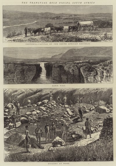 A Transvaal Gold Fields, Dél-Afrika (metszet) alkotó: English School