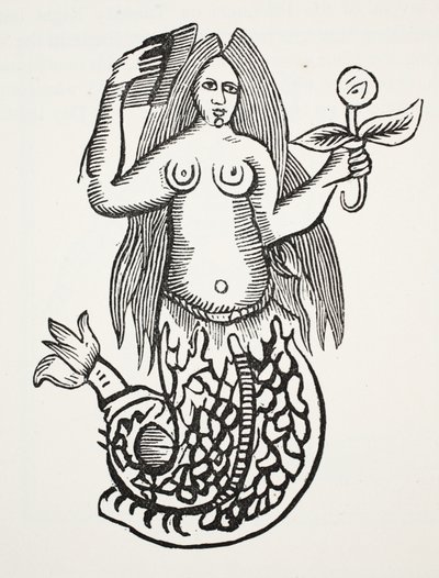 The Wonder of Wonders, illusztráció a Chap-books of the Eightenth Century, John Ashton, pub. 1882 alkotó: English School