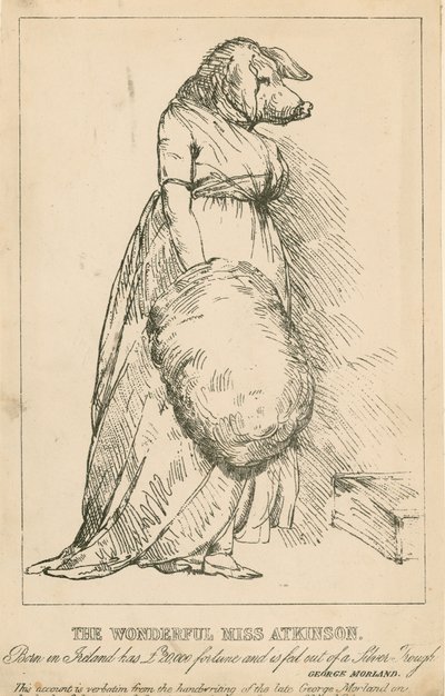 Az írországi születésű Csodálatos Atkinson kisasszony 20 000 GBP vagyonnal rendelkezik, és egy ezüstvályúból táplálják. alkotó: English School