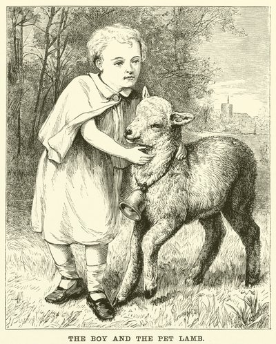 A fiú és a kisállat bárány (metszet) alkotó: English School