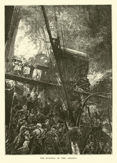 Az Amazonas égése alkotó: English School
