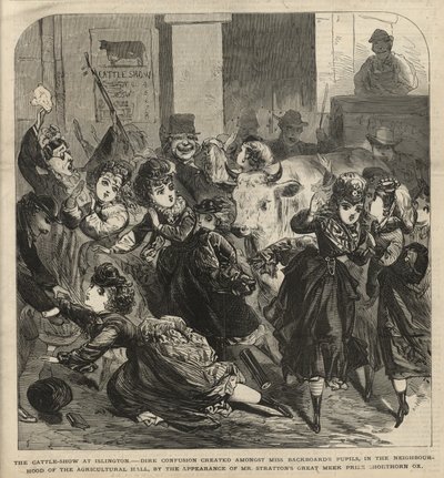 A szarvasmarha bemutató Islingtonban alkotó: English School