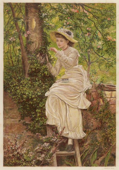 A nevelőanya: fiatal nő, aki árva madárfiókákat etet egy fészekben (színes litho) alkotó: English School