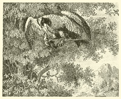 A sólyom és a fülemüle (metszet) alkotó: English School