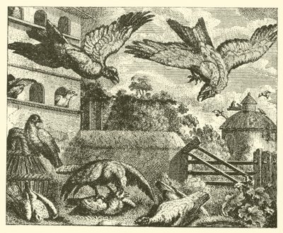 A sárkány és a galambok (metszet) alkotó: English School