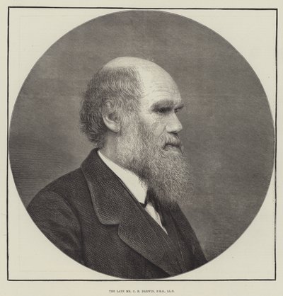 A néhai Mr. C. R. Darwin, FRS, LLD alkotó: English School