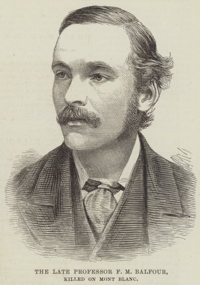 A néhai F M Balfour professzor, megölték a Mont Blanc-on (metszet) alkotó: English School