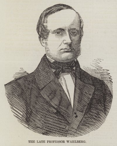 A néhai Wahlberg professzor (metszet) alkotó: English School