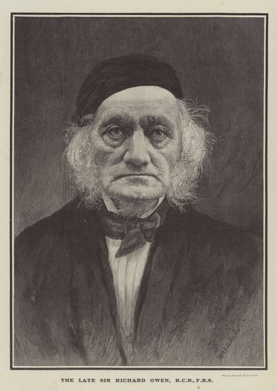 A néhai Sir Richard Owen, KCB, FRS (metszet) alkotó: English School