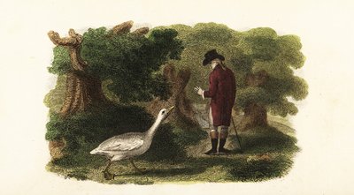 Der männliche Gänserich Jacquot und sein menschlicher Freund, ein französischer Gentleman von English School