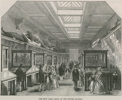Az új korallszoba a British Museumban alkotó: English School