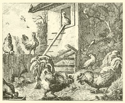 A fogoly és a kakasok (metszet) alkotó: English School