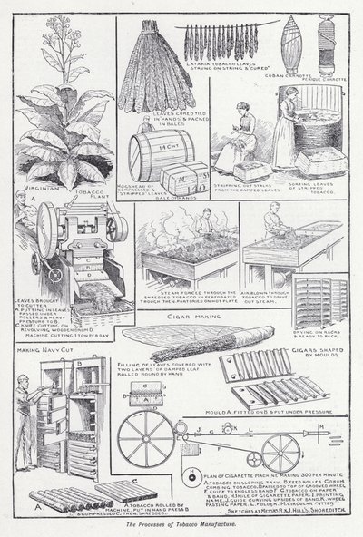 A dohánygyártás folyamatai (litho) alkotó: English School