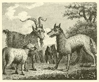 A farkas, a bárány és a kecske (metszet) alkotó: English School