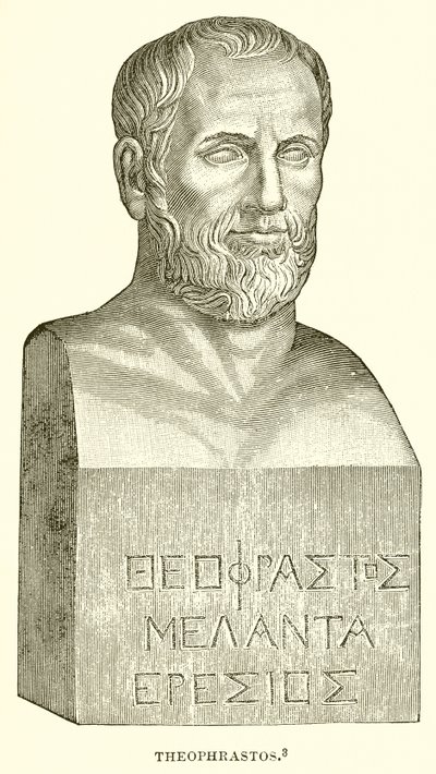 Theophrasztosz alkotó: English School