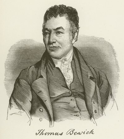 Thomas Bewick (metszet) alkotó: English School