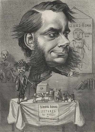 Thomas Henry Huxley angol biológus alkotó: English School