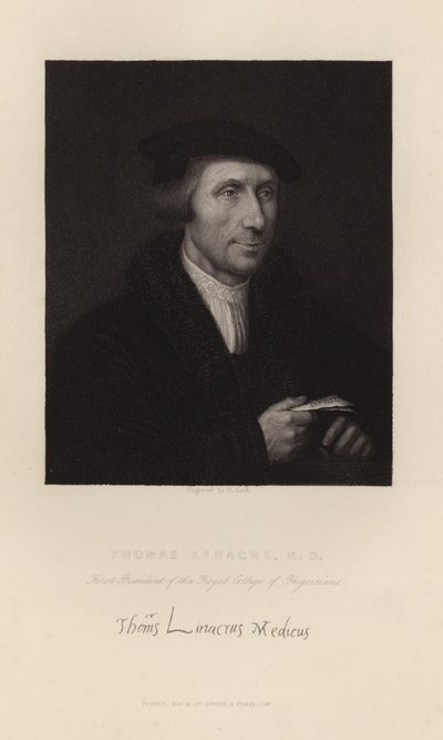 Thomas Linacre alkotó: English School