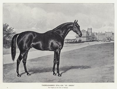 "St Simon" telivér mén (litho) alkotó: English School