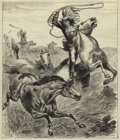 A lasszó dobása alkotó: English School