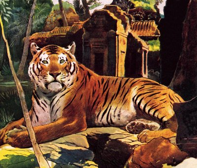 Tigris a romokban alkotó: English School