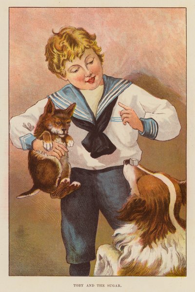 Toby és a cukor (színes litó) alkotó: English School