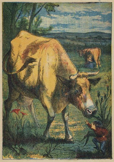 Tom Thumb és a tehén (színes litó) alkotó: English School