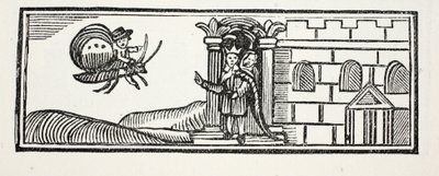 Tom elbújt, és egy pillangó hátán próbált megszökni. Illusztrációja a Chap-books of the Eighteenth Century, John Ashton, kocsma. 1882 alkotó: English School