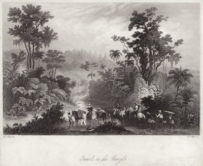 Utazások a brazilokban alkotó: English School