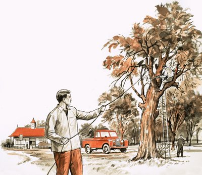 Faipari sebész alkotó: English School