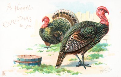 Pulykák, karácsonyi üdvözlőlap alkotó: English School