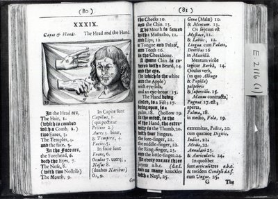 Két oldal az Orbis Sensual Pictusból, Comeniustól, 1659 alkotó: English School